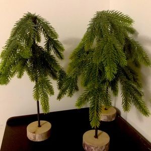 Set of 3 mini Christmas trees with wooden base